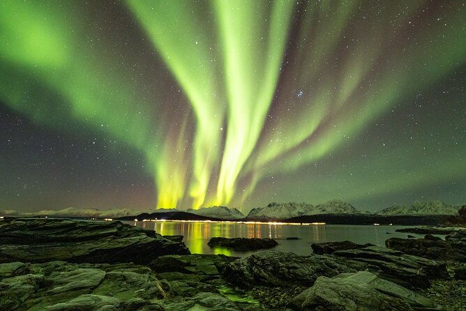 Tour in Search of the Northern Lights in Tromso - Northern Lights Viewing