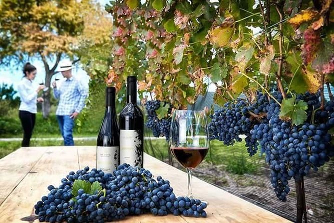 Tour in Spanish to the Traditional Cheese and Wine Route, Leaving From Querétaro - Tour Overview