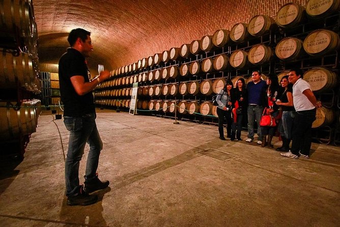 Tour in Spanish to the Traditional Cheese and Wine Route, Leaving From Querétaro - Vineyard Tour