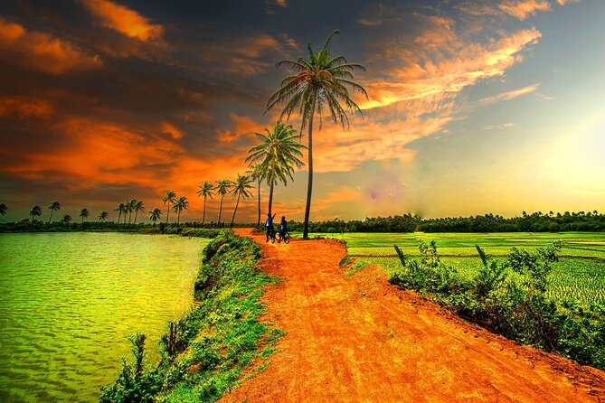 Tour in the Afternoon to Bamboo Train, Bat Cave, Killing Cave - Additional Information
