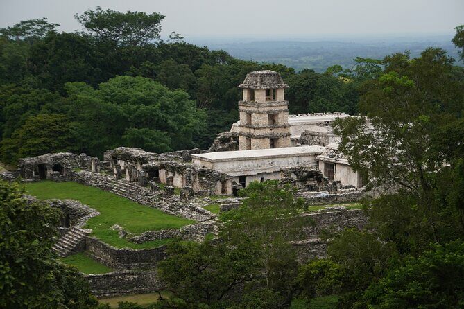 Tour in the Archaeological Zone of Palenque With Guide Included - Key Points