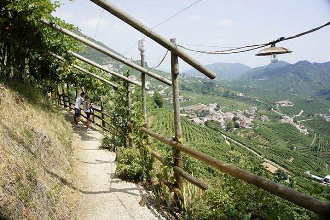 Tour in the Prosecco Hills Tour From Padua - Guest Reviews