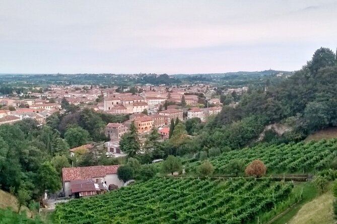 Tour in the Prosecco Hills Tour From Padua - Scenic Vistas and Quaint Towns