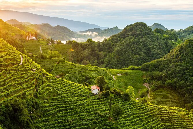 Tour in the Prosecco Hills Tour From Padua - Prosecco Tastings and Local Cuisine