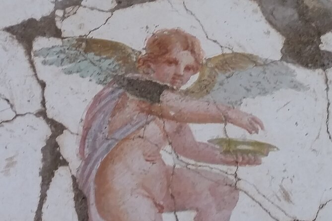 Tour in the Roman Villas of Stabiae With an Archaeologist. - Accessibility