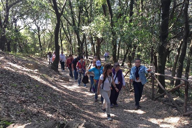 Tour in the Ruins of Cuma With an Archaeologist. - Tour Pricing and Cancellation Policy