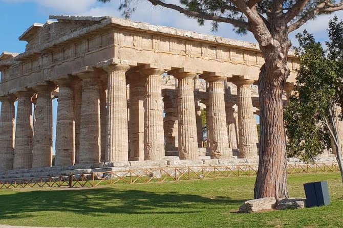 Tour in the Ruins of Paestum With an Archaeologist - Transportation and Meeting Details