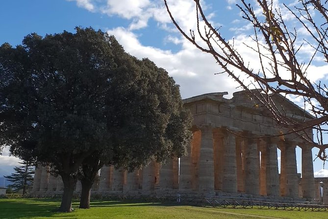 Tour in the Ruins of Paestum With an Archaeologist - Booking and Confirmation Process