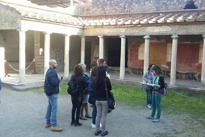 Tour in the Villa of Poppea With an Archaeologist - Historical Background