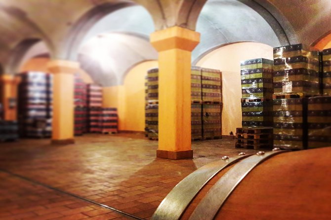 Tour in the Winery and Tasting - Wine Tasting Paired With Food