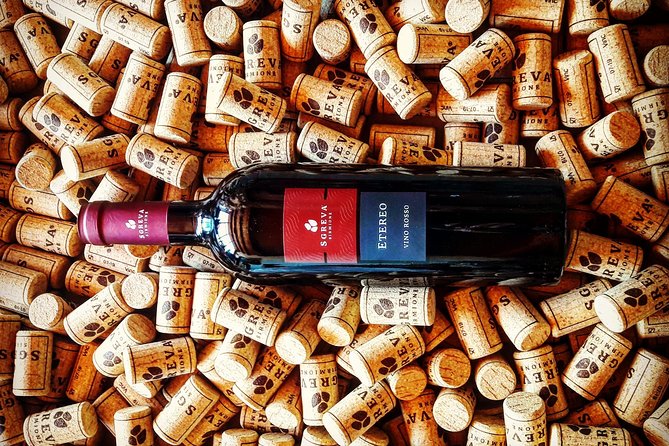 Tour in the Winery and Tasting - Nearby Public Transportation