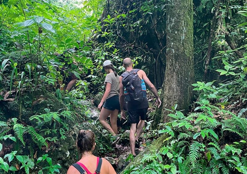 Tour INCLUDED in Aquatic Trail Cave of the Virgin - Key Points
