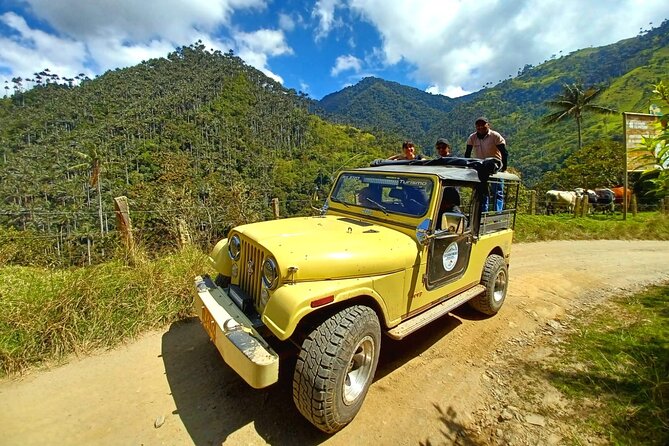 Tour La Carbonera. a Large Forest of Wax Palms - Key Points
