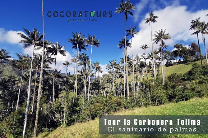 Tour La Carbonera. a Large Forest of Wax Palms - Inclusions and Amenities