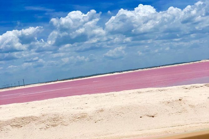 Tour Las Coloradas and Rio Lagartos - Pricing and Booking Information