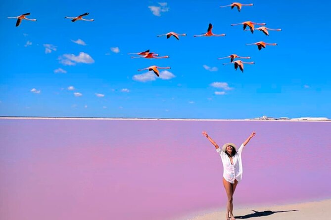 Tour Las Coloradas - Pickup Information