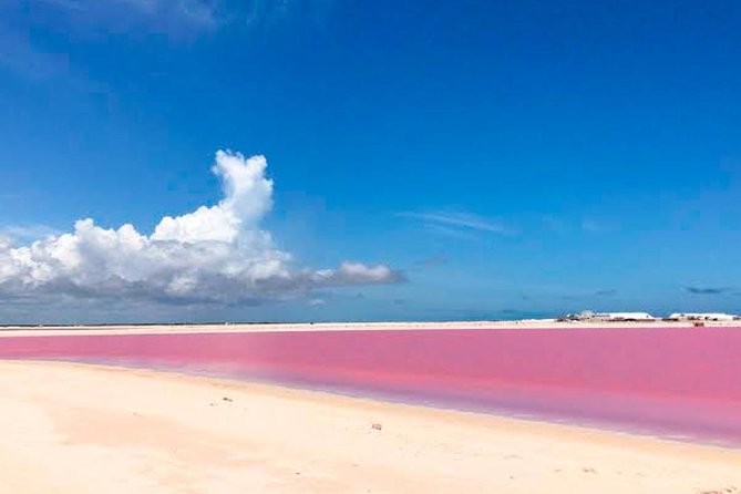 Tour Las Coloradas & Rio Lagartos From Riviera Maya - Logistics and Transportation