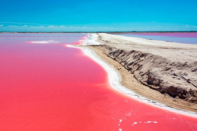Tour Las Coloradas & Rio Lagartos From Riviera Maya - Tour Reviews and Ratings