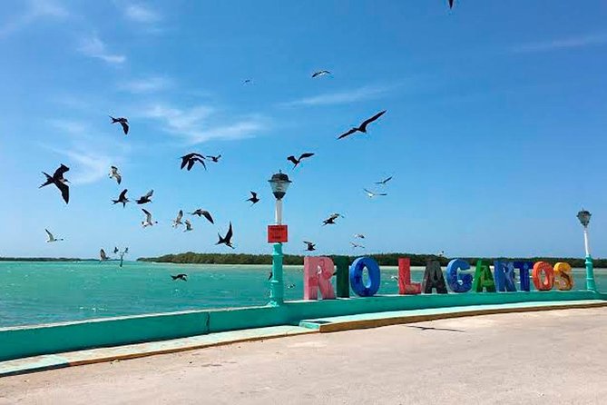 Tour Las Coloradas & Rio Lagartos From Riviera Maya - Frequently Asked Questions