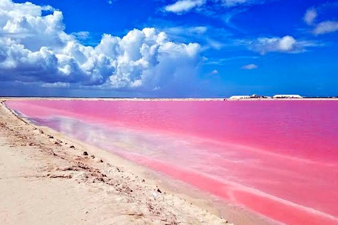 Tour Las Coloradas & Rio Lagartos Only From Tulum - Accessibility & Health Restrictions