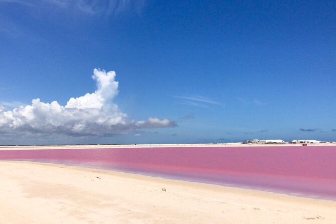 Tour Las Coloradas & Rio Lagartos Only From Tulum - Customer Experiences
