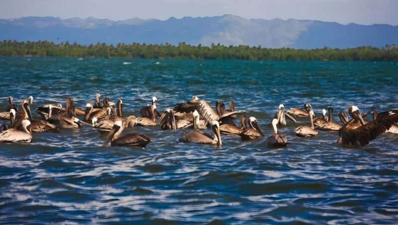Tour Los Haitises, Montaña Redonda, and Yanigua Waterfall - Haitises National Park Adventure