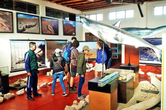Tour Los Perdidos Canyon - Health and Safety