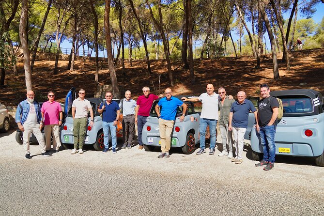 Tour Malaga Premium by Electric Car - Traveler Participation