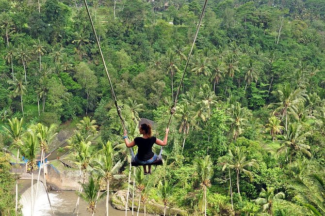 Tour Monkey Forest Review: A Must-Do Experience - Pickup and Dropoff