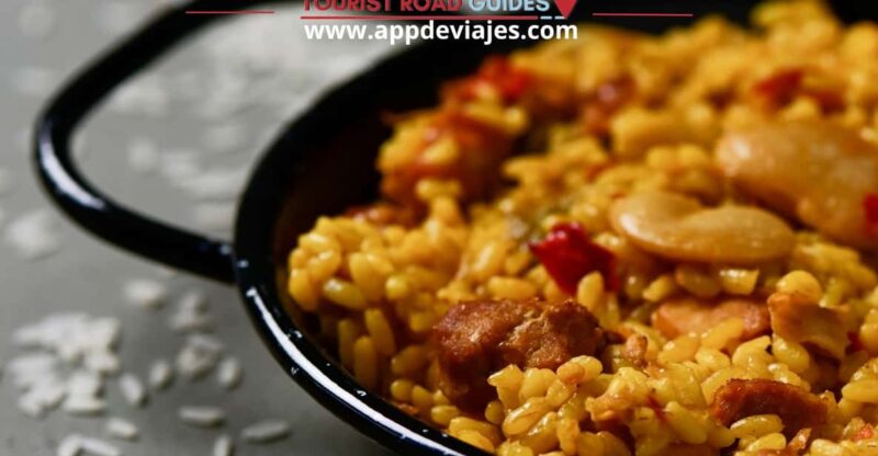 Tour: Mussels, Rice Plantation & Paella - Key Points