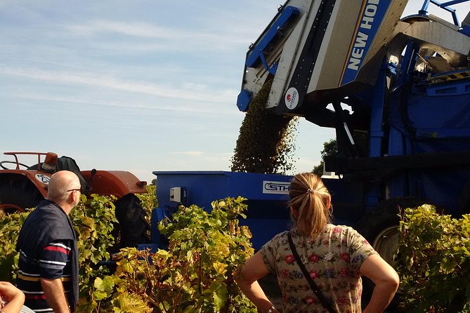 Tour of a Vineyard, Winery & Cellar With Wine Tasting in Vouvray, Loire Valley - Meeting and End Point
