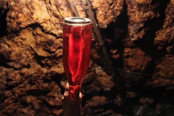 Tour of a Vineyard, Winery & Cellar With Wine Tasting in Vouvray, Loire Valley - Additional Recommendations