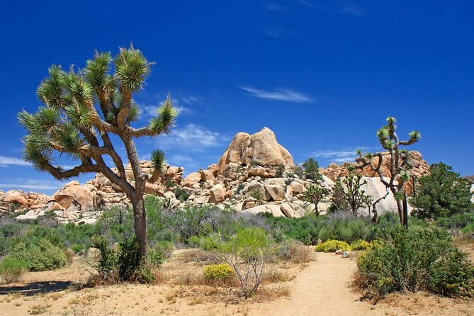 Tour of California Self-Guided Driving Bundle - Engaging With Captivating Audio Stories