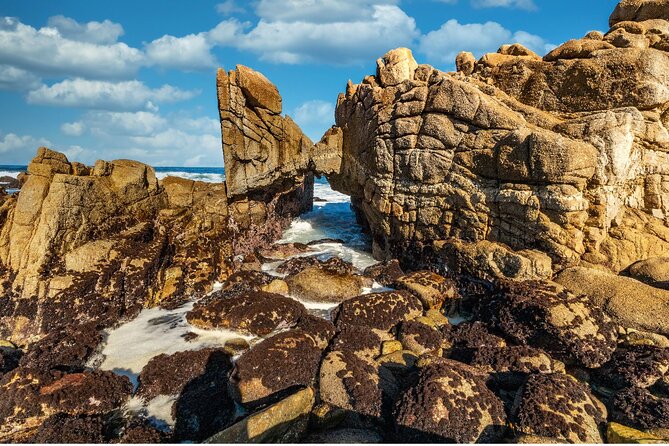 Tour of California Self-Guided Driving Bundle - Customizing Your Flexible Travel Experience
