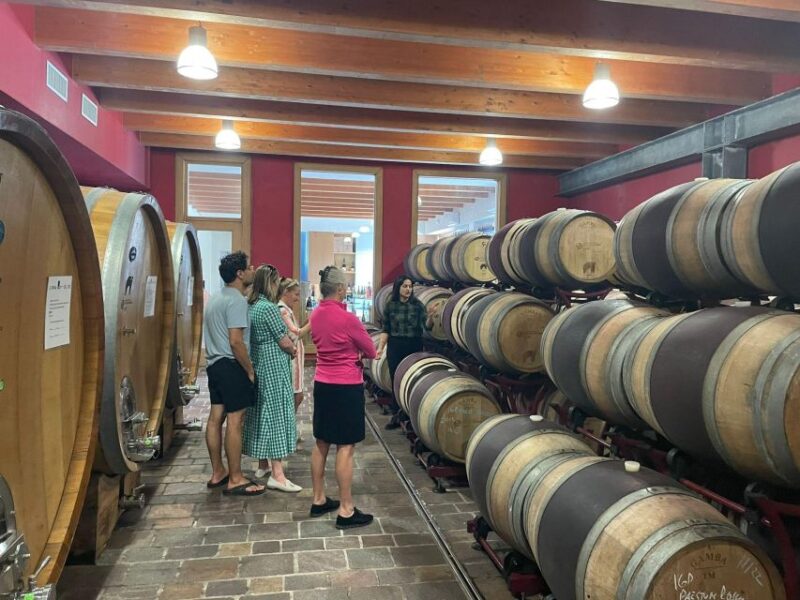 Tour of Cilento: a Journey Through History and Archaeology - Culinary Experiences