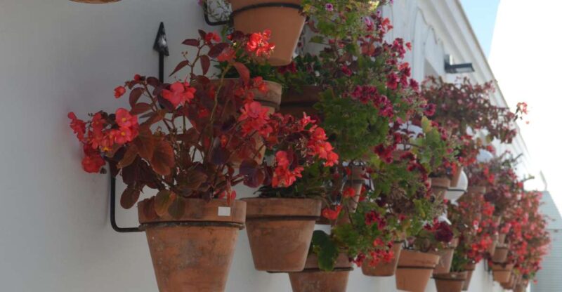 Tour of Estepona Center - Highlights of the Tour