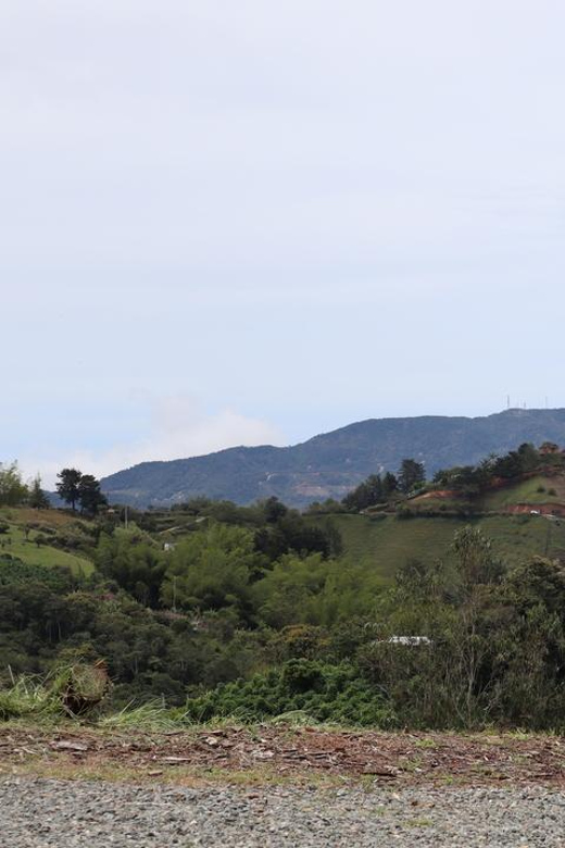Tour of Guatape by Tuk Tuk 20MIN - Lunch and Drink. - Tour Features and Language
