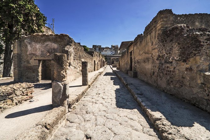 Tour of Herculaneum Skip the Line With Official Guide - Guided Tour Details