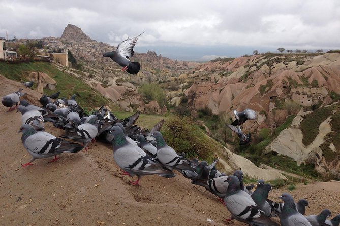 Tour of Highlights of Cappadocia With Lunch - Tour Conditions