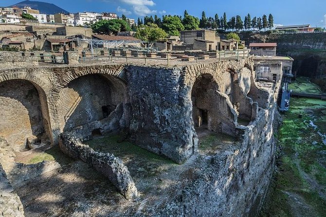 Tour of Mt. Vesuvius + Herculaneum + Pompeii (FullDay 8h) - Recap