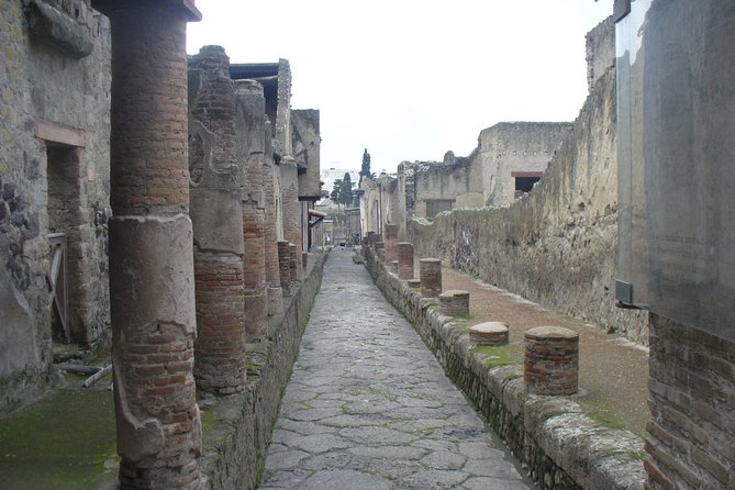 Tour of Mt. Vesuvius+Pompeii+Herculaneum (Full Day) - Booking and Cancellation Policy