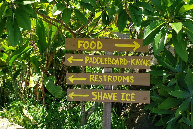 Tour of North Shore & Waimea Waterfall - Oahus North Shore
