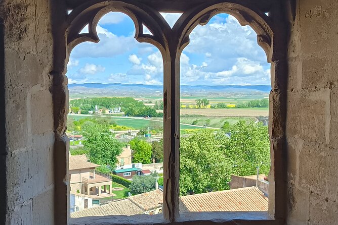 Tour of Olite and the Royal Castle. - Pickup and Accessibility