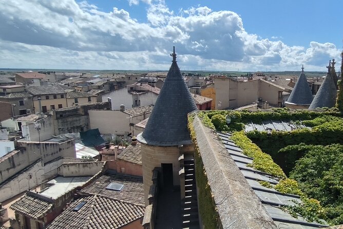 Tour of Olite and the Royal Castle. - Recap