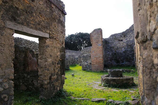 Tour of Pompeii With Skip the Line Tickets & Exclusive Guide - Tour Details