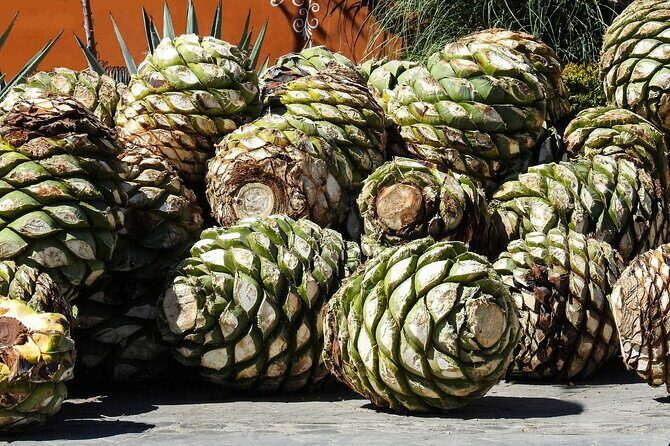 Tour of Puebla and tour of Atlixco (private tour) - A Deep Dive into the Puebla and Atlixco Private Tour