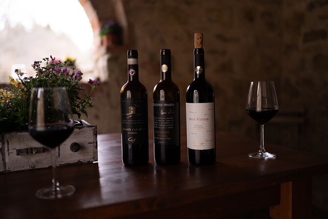 Tour of San Gimignano and Private Wine Experience in Chianti - Chianti Countryside
