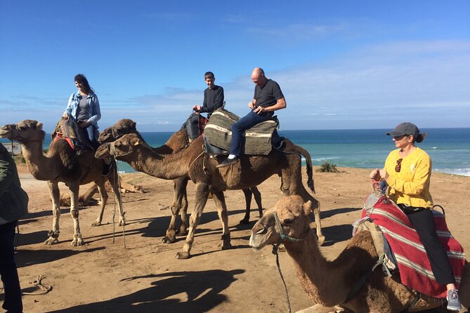 Tour of Tangier 3-6 People - Inclusions and Exclusions