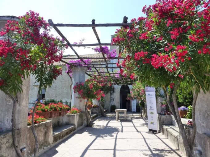 Tour of the Amalfi Coast, Ravello Amalfi&Positano - Reservation and Cancellation