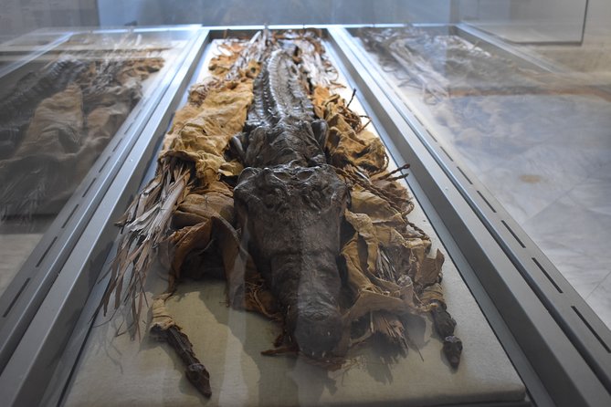 Tour of the Archaeological Museum of Naples - Booking and Pricing